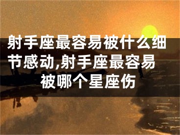 射手座最容易被什么细节感动,射手座最容易被哪个星座伤