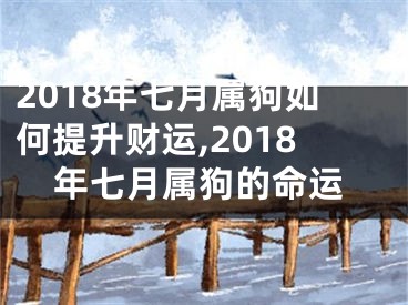 2018年七月属狗如何提升财运,2018年七月属狗的命运