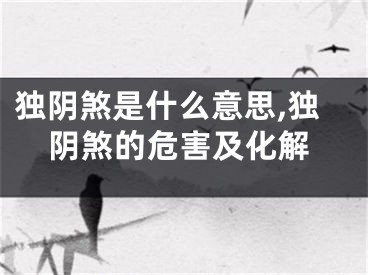 独阴煞是什么意思,独阴煞的危害及化解