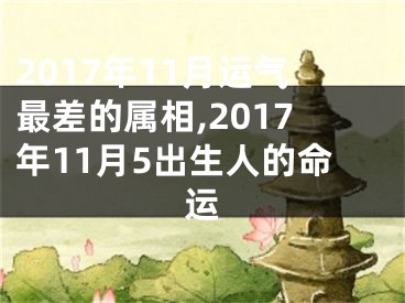 2017年11月运气最差的属相,2017年11月5出生人的命运