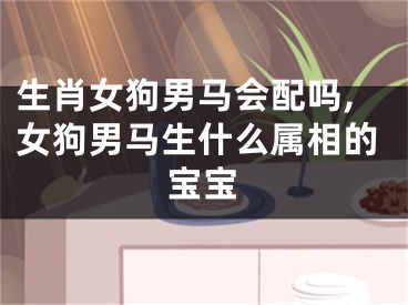生肖女狗男马会配吗,女狗男马生什么属相的宝宝