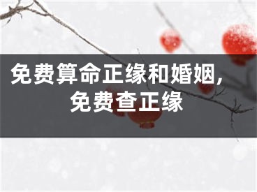 免费算命正缘和婚姻,免费查正缘