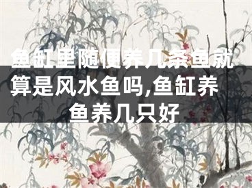 鱼缸里随便养几条鱼就算是风水鱼吗,鱼缸养鱼养几只好