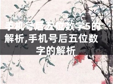 手机号后五位数字5的解析,手机号后五位数字的解析