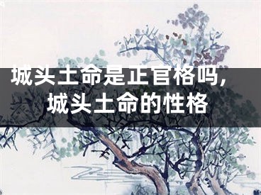 城头土命是正官格吗,城头土命的性格
