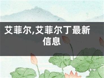 艾菲尔,艾菲尔丁最新信息