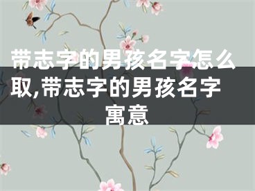 带志字的男孩名字怎么取,带志字的男孩名字寓意