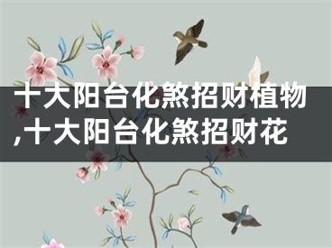 十大阳台化煞招财植物,十大阳台化煞招财花