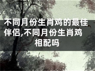 不同月份生肖鸡的最佳伴侣,不同月份生肖鸡相配吗