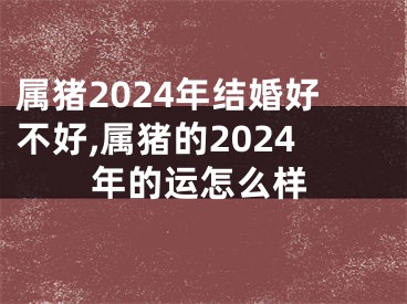 属猪2024年结婚好不好,属猪的2024年的运怎么样