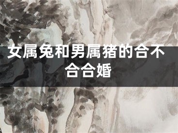女属兔和男属猪的合不合合婚