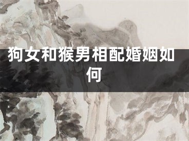 狗女和猴男相配婚姻如何