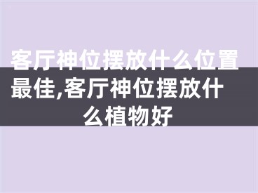 客厅神位摆放什么位置最佳,客厅神位摆放什么植物好