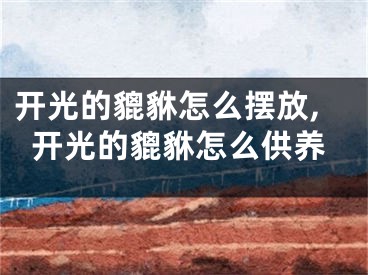 开光的貔貅怎么摆放,开光的貔貅怎么供养