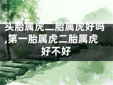 头胎属虎二胎属虎好吗,第一胎属虎二胎属虎好不好