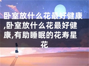 卧室放什么花最好健康,卧室放什么花最好健康,有助睡眠的花寿星花