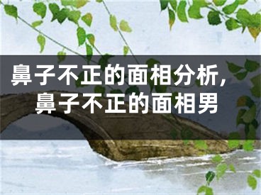 鼻子不正的面相分析,鼻子不正的面相男