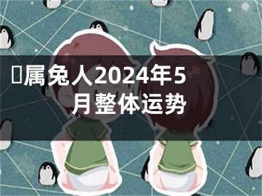 ​属兔人2024年5月整体运势