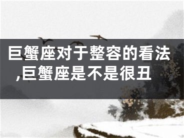 巨蟹座对于整容的看法,巨蟹座是不是很丑