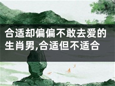合适却偏偏不敢去爱的生肖男,合适但不适合