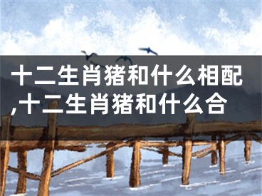 十二生肖猪和什么相配,十二生肖猪和什么合