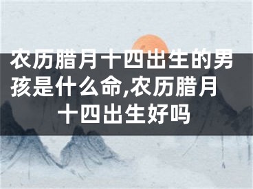 农历腊月十四出生的男孩是什么命,农历腊月十四出生好吗