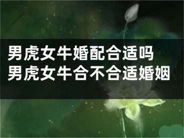 男虎女牛婚配合适吗 男虎女牛合不合适婚姻