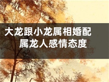 大龙跟小龙属相婚配 属龙人感情态度