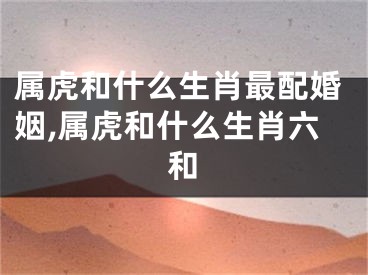 属虎和什么生肖最配婚姻,属虎和什么生肖六和