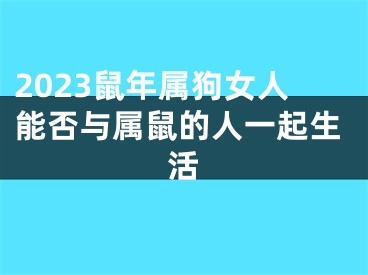 2023鼠年属狗女人能否与属鼠的人一起生活