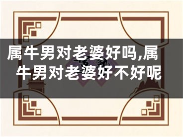 属牛男对老婆好吗,属牛男对老婆好不好呢