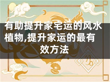 有助提升家宅运的风水植物,提升家运的最有效方法