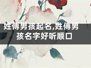 姓傅男孩起名,姓傅男孩名字好听顺口