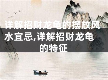 详解招财龙龟的摆放风水宜忌,详解招财龙龟的特征