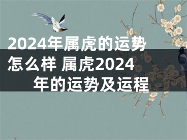 2024年属虎的运势怎么样 属虎2024年的运势及运程