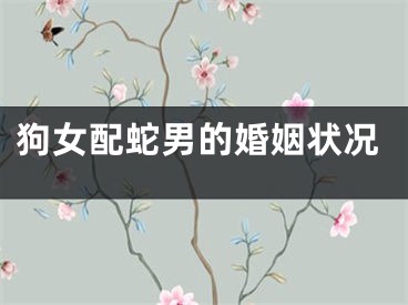 狗女配蛇男的婚姻状况