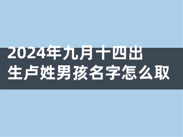 2024年九月十四出生卢姓男孩名字怎么取