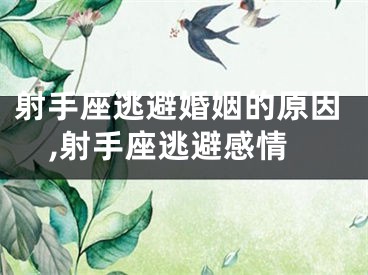 射手座逃避婚姻的原因,射手座逃避感情