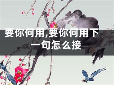 要你何用,要你何用下一句怎么接