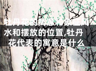 牡丹花的寓意和象征风水和摆放的位置,牡丹花代表的寓意是什么