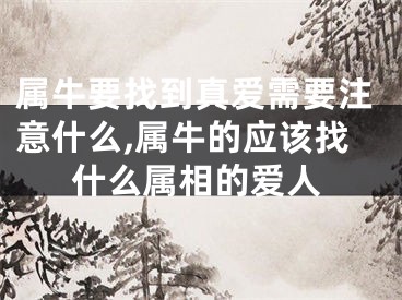 属牛要找到真爱需要注意什么,属牛的应该找什么属相的爱人