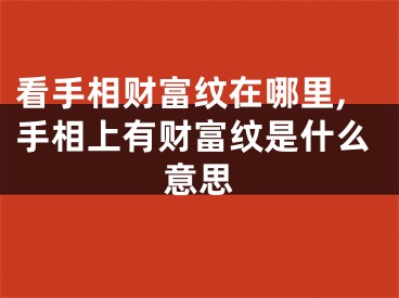 看手相财富纹在哪里,手相上有财富纹是什么意思
