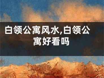 白领公寓风水,白领公寓好看吗