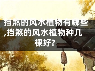 挡煞的风水植物有哪些,挡煞的风水植物种几棵好?