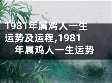 1981年属鸡人一生运势及运程,1981年属鸡人一生运势