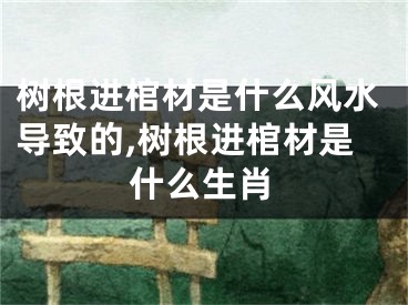 树根进棺材是什么风水导致的,树根进棺材是什么生肖
