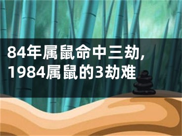 84年属鼠命中三劫,1984属鼠的3劫难