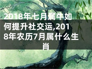 2018年七月属牛如何提升社交运,2018年农历7月属什么生肖