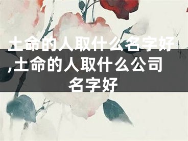 土命的人取什么名字好,土命的人取什么公司名字好