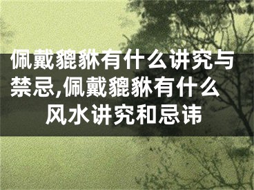 佩戴貔貅有什么讲究与禁忌,佩戴貔貅有什么风水讲究和忌讳